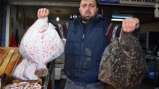 Kalkan Balığı, bugünlerde kilosu 120 TL’den satılıyor.