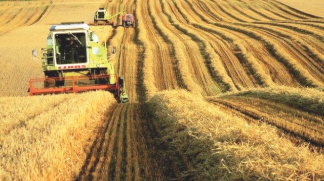 Türkiye ekonomisindeki büyüme performansı, Milli Tarım Projesi’nin iklim koşullarının da elverişli gitmesiyle tarıma yansıdığını belirtiliyor