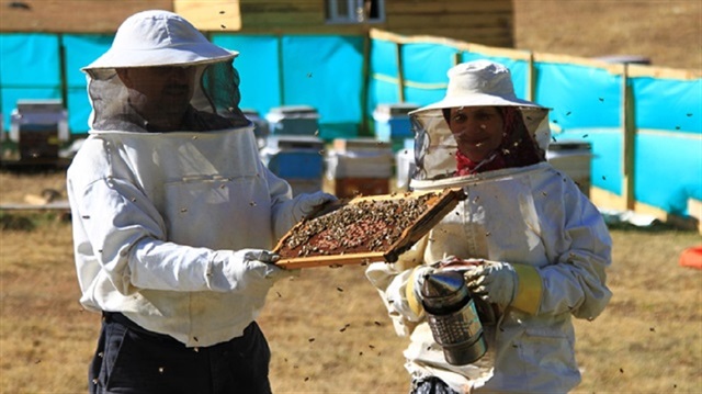 تركيا تصدر 24 مليون دولار من العسل إلى 45 دولة