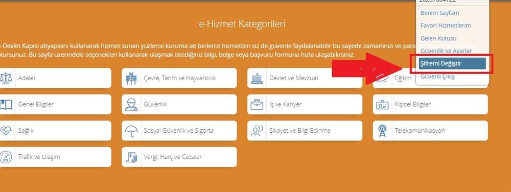 e devlet e nasil giris yapilir e devlet sifresi nasil alinir yeni safak