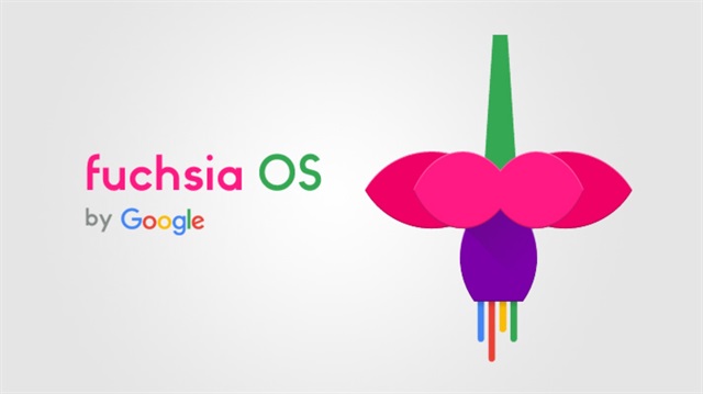 Google Fuschia'nın logosu.