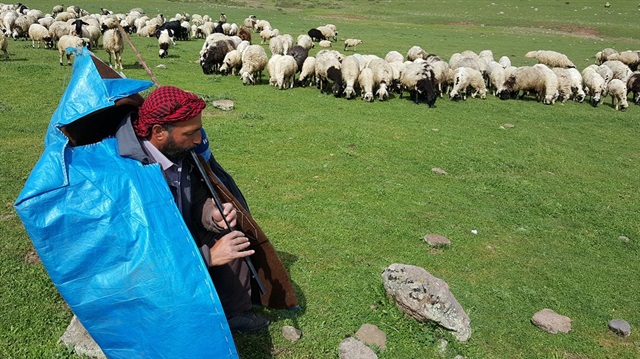 Çobanların sosyal güvenlik primlerinin devlet tarafından karşılanması önerildi.