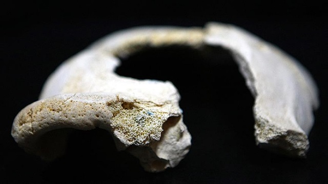 Çalışma, arkeolojik kalıntılara uygulanan çeşitli tarihleme tekniklerinin ve fosilin, çene kemiğinin 175 bin ila 200 bin yıl öncesine ait olduğunu ortaya koydu.

