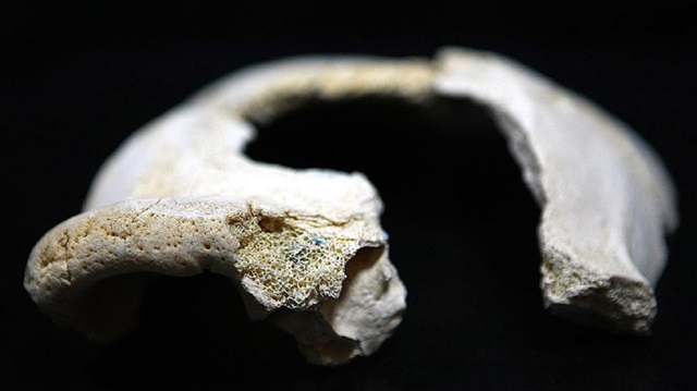 Bilinen en eski modern insan fosili Afrika dışında bulundu!