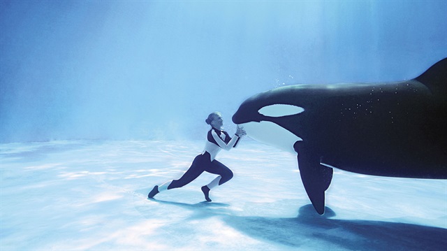 Katil balinalar insan seslerini kolaylıkla taklit edebiliyor