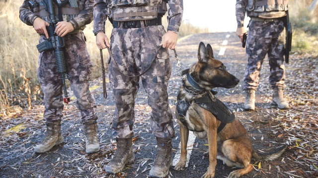Eğitilen köpekler, polis teşkilatının yeni personelleri oldu.