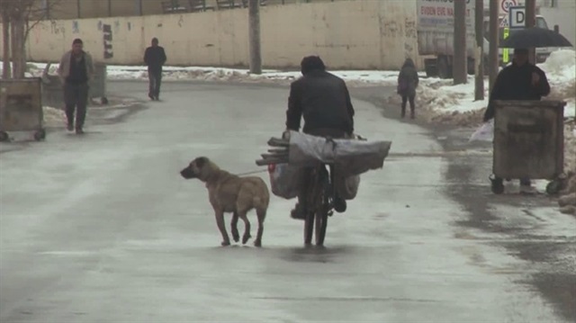 Köpeği bisikletin arkasında cadde ve sokaklarda dakikalarca koşturan şahsı görenler duruma tepki gösterdi. 