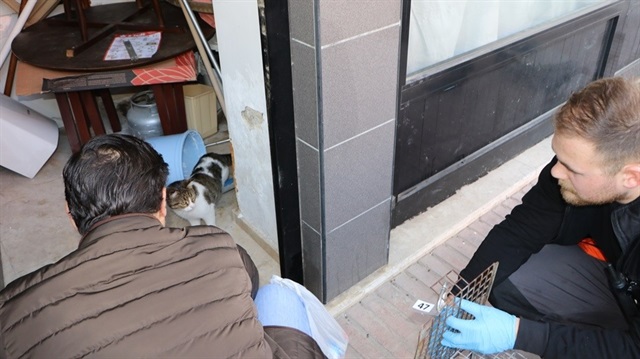 3 haftadır dükkanda mahsur kalan kedi savcılık kararı ile kurtarıldı. 