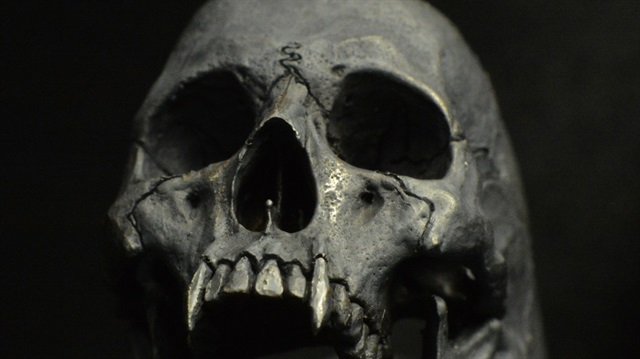 2011 yılında İsveç'te ortaya çıkan 8 bin yıllık kafatasları merak uyandırıyor!