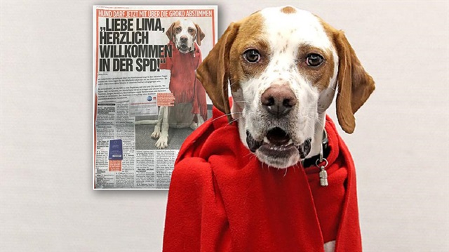 Alman gazetesi Bild, Lima adlı köpeği SPD’ye üye yapmak için başvurdu. Parti yönetimi köpeğin üyeliğini kabul etti. 