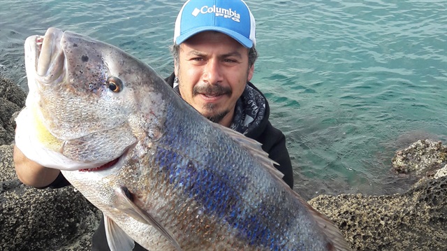 Bodrum ilçesinde balıkçı Dengel, "at çek" yöntemiyle oltayla 90 santimetre boyunda, 10 kilogram ağırlığında sinarit yakaladı.