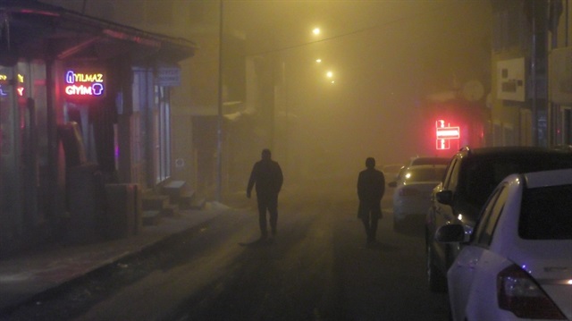 Ardahan'da sis yaşamı olumsuz etkiledi​