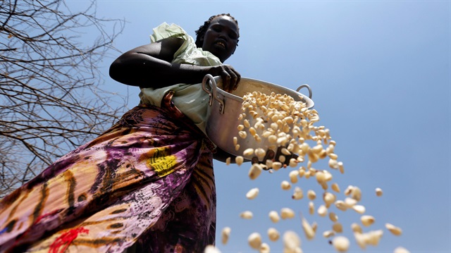 A South Sudanese refugee winnows maize grains within Kalobeyei Settlement 