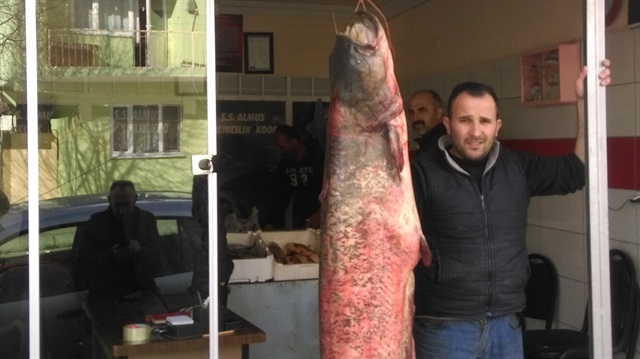 2.10 metre uzunluğunda, 50 kilogram ağırlığında balık yakaladı.