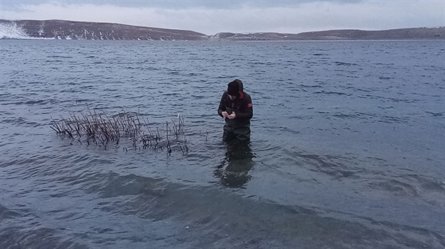 Aygır Gölü’nde zebra midye tehlikesi