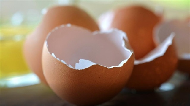Yumurta zarı cildi yenileyerek, yaşlanmaya karşı koruma sağlıyor.
