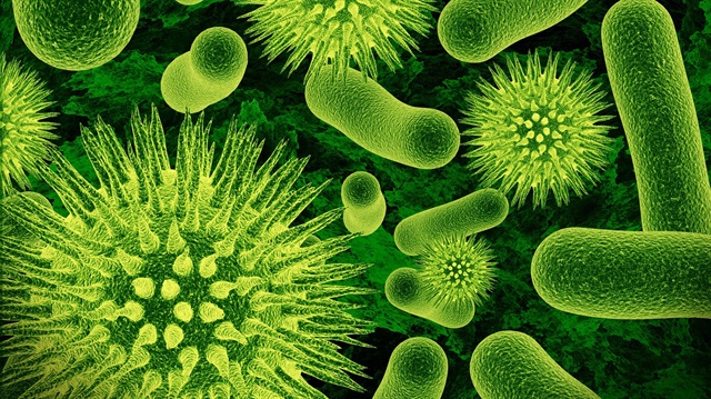 Bakteriler kozmetikte çok farklı maksatlarla kullanılabilecek 
