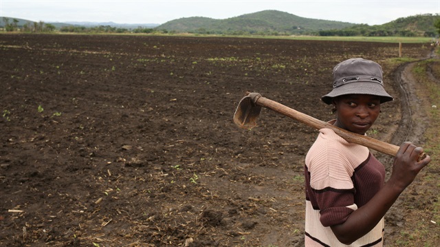 A farm worker looks on ahead of her shift at Chipfumbi farmlands outside Harare, Zimbabwe, November 28, 2017.