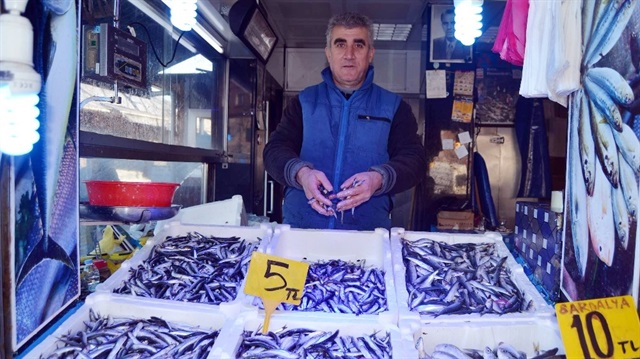 Arşiv: Karadeniz hamsisinin fiyatı bir haftada yarıya düştü.
