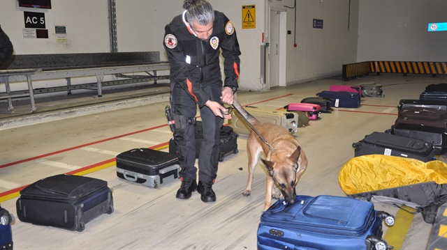 Dedektör köpek 11 milyon liralık uyuşturucuyu yakalattı.