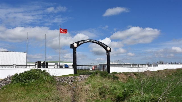 yeni safak