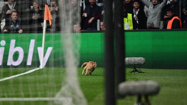 https://img.piri.net/resim/imagecrop/2018/03/15/11/05/resized_7f7d0-65a3701d4a320964000005785501289imagea24_1521052563757.jpg