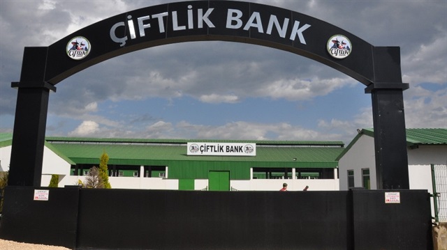 Çiftlik Bank operasyonu kapsamında gözaltılar devam ediyor.