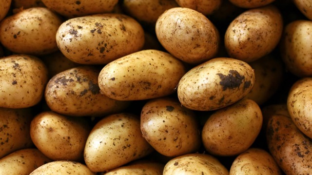 Niğde ve Nevşehir’de depolarda 350-400 bin ton patates alıcı bekliyor.