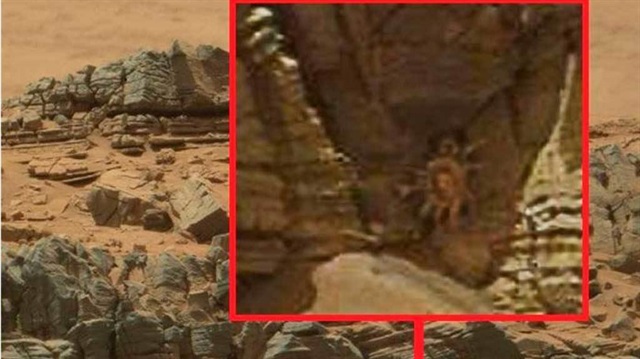 Kimileri bu şeklin yalnızca tuhaf bir kayaya ait olduğunu düşünürken, kimileri Mars’ta var olan bir yaşamın kanıtı olabileceğini öne sürüyor.