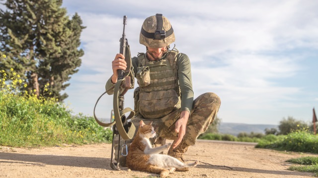 Türk askeri aç ve susuz kalan kedi ve köpeklerle de ilgileniyor.