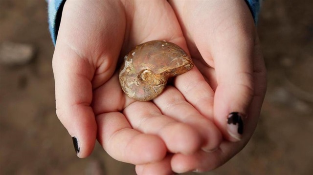 Bilim insanları küçük kızın bu fosili o bölgede bulamasına şaşırdı.