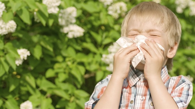 Bahar alerjisi olan çocuklarda bu hastalık astım ile birlikte görülüyor.