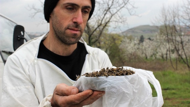 Bursalı bal üreticileri, çamurlu yağmurun ardından toplu arı ölümleriyle karşılaştı. 