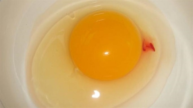 Yumurtada görülen kan,  %1 oranından fazla olmadığı belirtildi. 