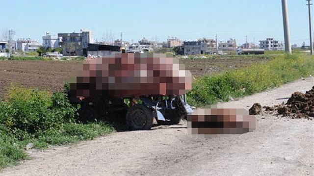 Adana'da 2 kişi, at kesimi yaptığı sırada suçüstü yakalandı