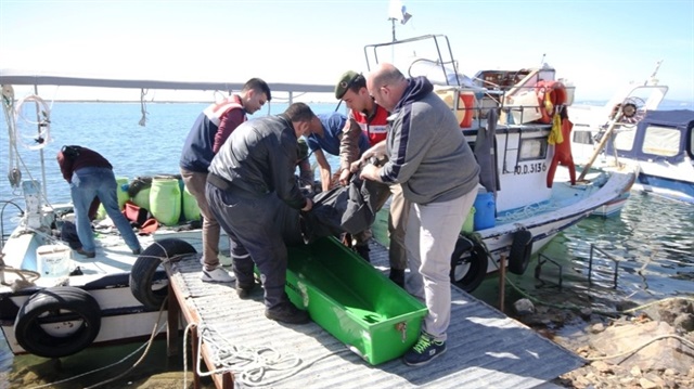 Deniz patlıcanı toplayan balıkçı hayatını kaybetti