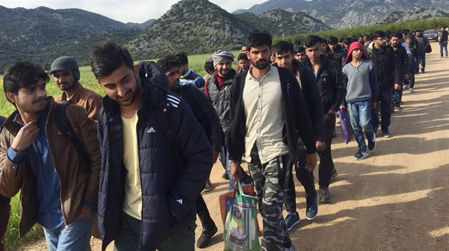 Mülteciler, İstanbul'a geldik denilerek ormanlık alana bırakıldı.