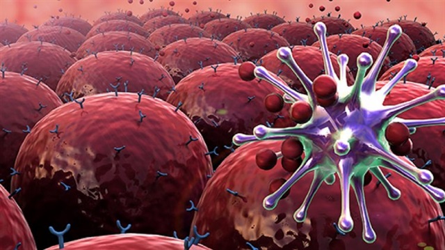 Sağlıklı bir hücre gerektiği yerde ve gerektiği kadar bölünürken, kanser hücreleri kontrolsüz bölünüp çoğalıyor.