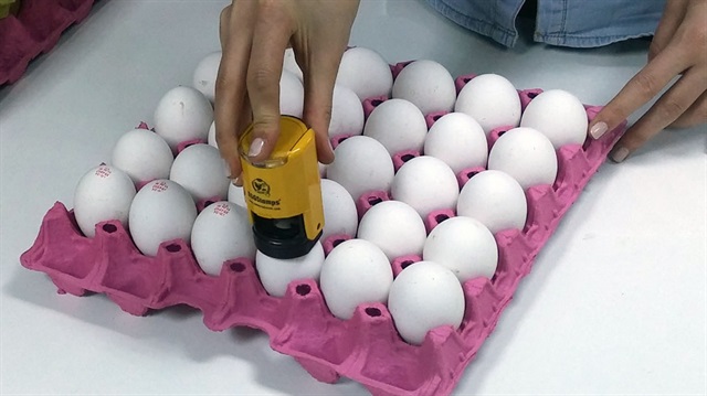 Yumurtalara yetiştirme metodu zorunluluğu geliyor