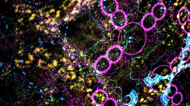 Bir bakan bir daha bakıyor: Sosyal medyayı kilitleyen görüntü!