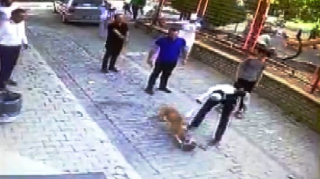 Sahibi ve vatandaşlar, uzun uğraşlar sonucunda kediyi köpeğin ağzından yaralı olarak kurtardı.