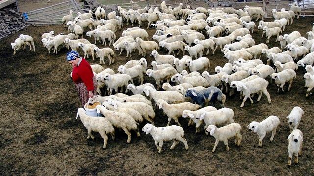 Foto: ARŞİV