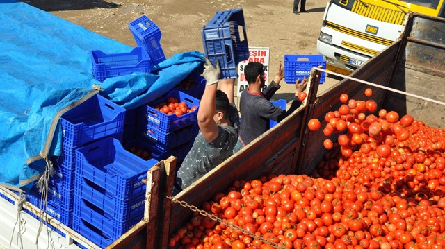 Rusya domates ithalatı