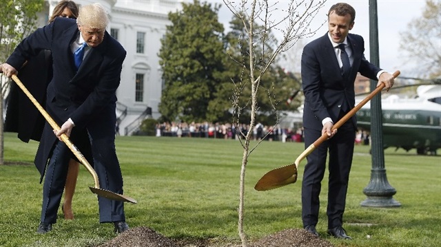İki lider Beyaz Saray'ın bahçesinde fidanı böyle dikmişti