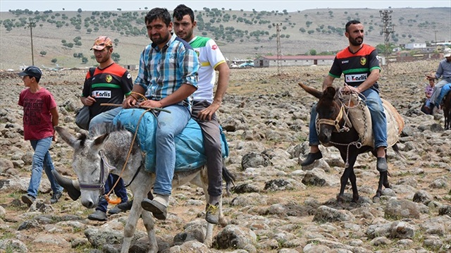 Futbol maçına eşek sırtında geliyorlar.