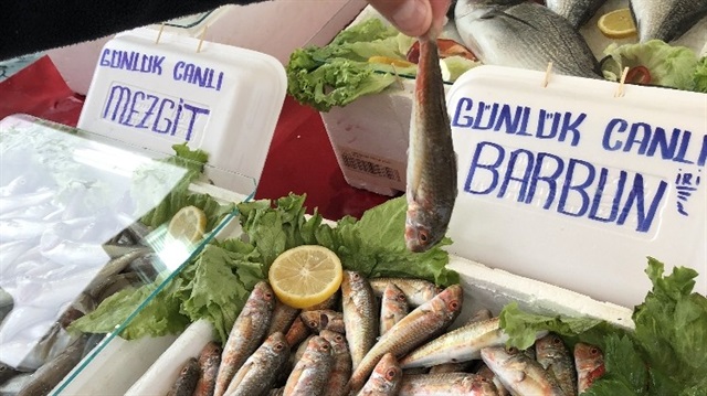 Balık fiyatları