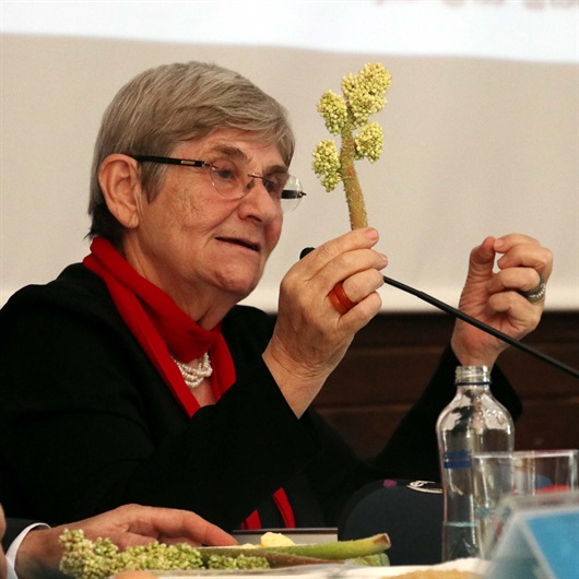 Canan Karatay: En güzel kollajen ve botoks kelle paçada vardır