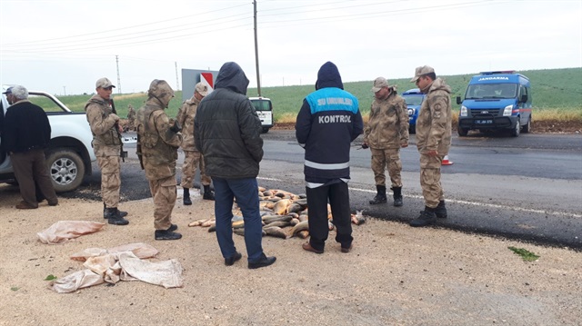 Jandarma ekipleri yol kontrolünde kaçak avcıları yakalandı. 
