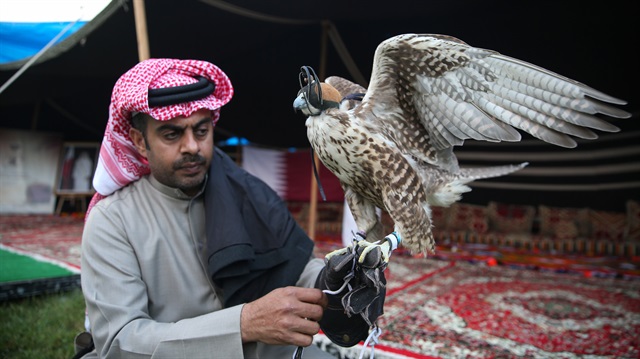 Qatar falconry highlights Ethnosport Cultural Festival