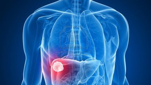 Oruçta tutan kişilerde karaciğer yağ tutma oranı azalıyor ve yağ vücuttan hızla atılıyor.